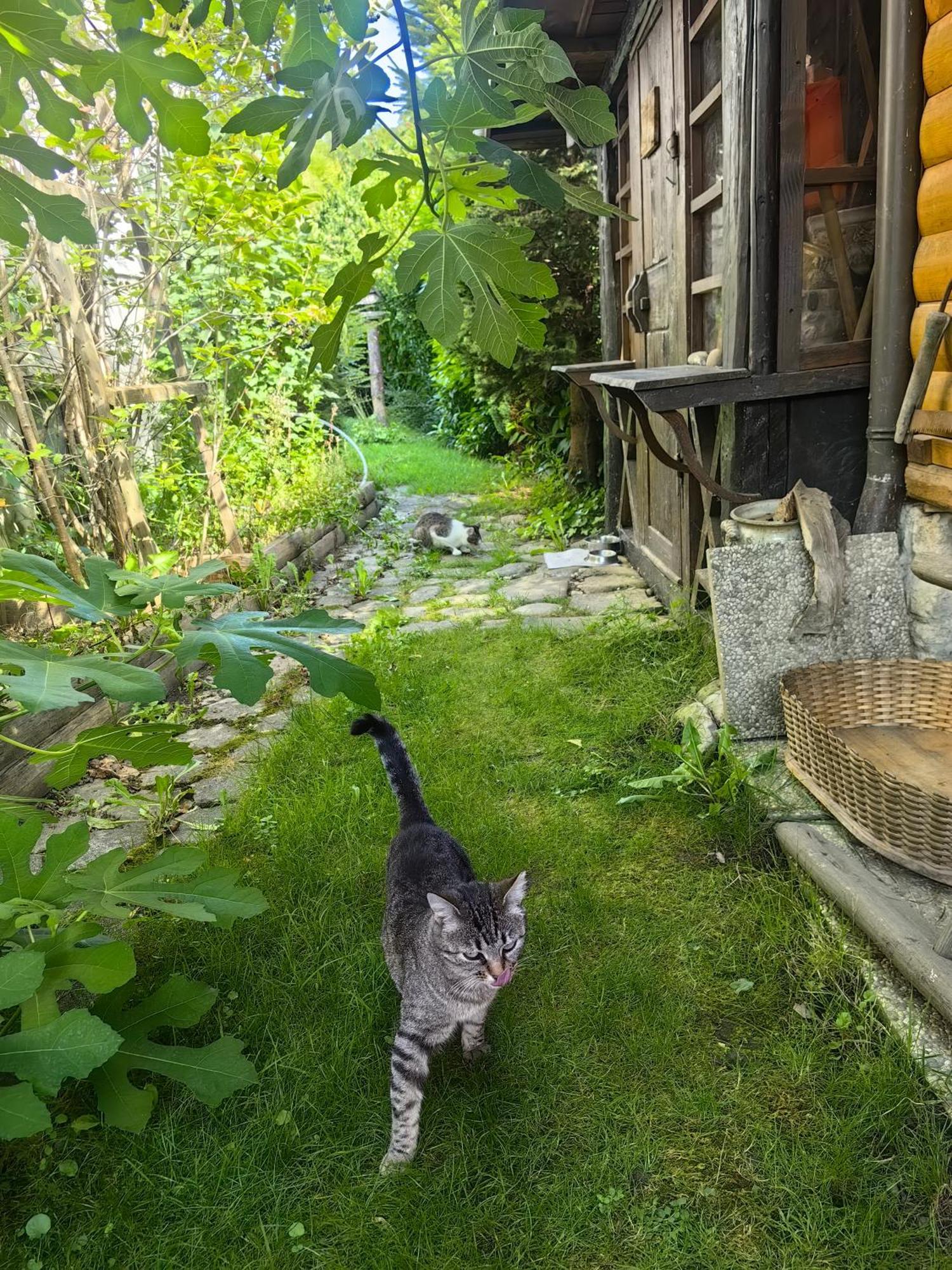 Hisa Hortenzija Luče Εξωτερικό φωτογραφία