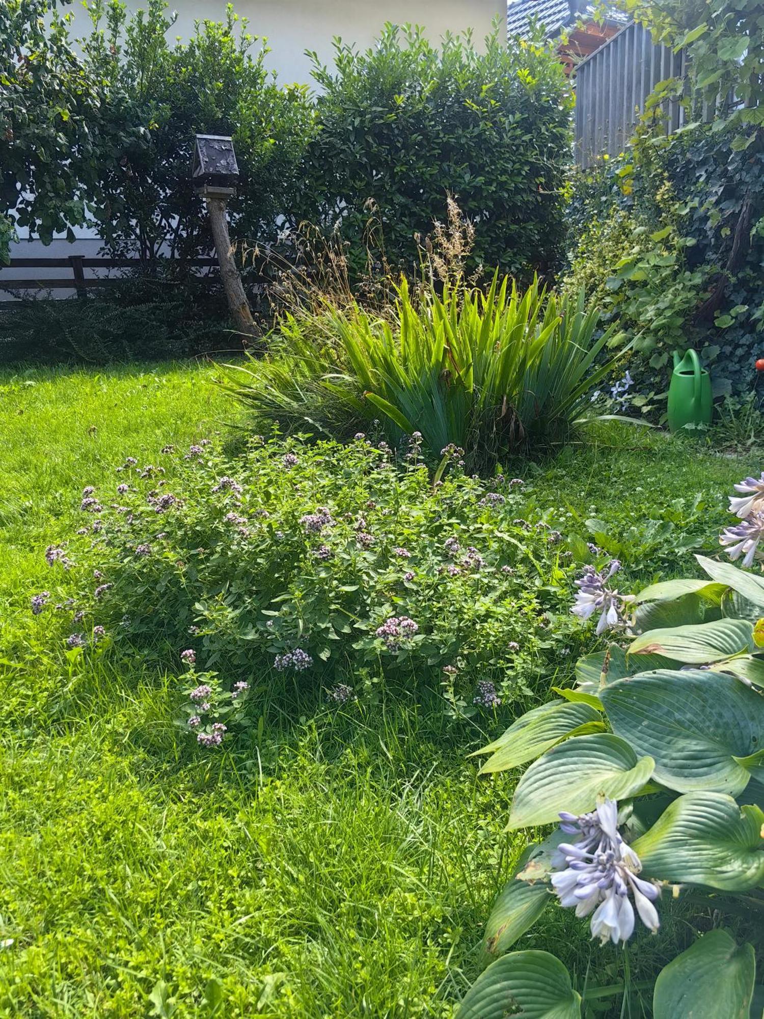 Hisa Hortenzija Luče Εξωτερικό φωτογραφία